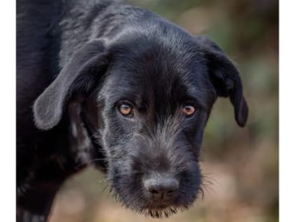 Palma möchte Ihnen Freude bereiten