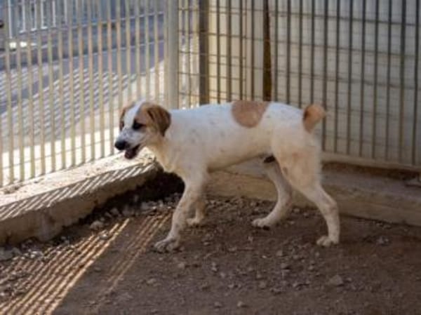 Romeo wird zum Notfall