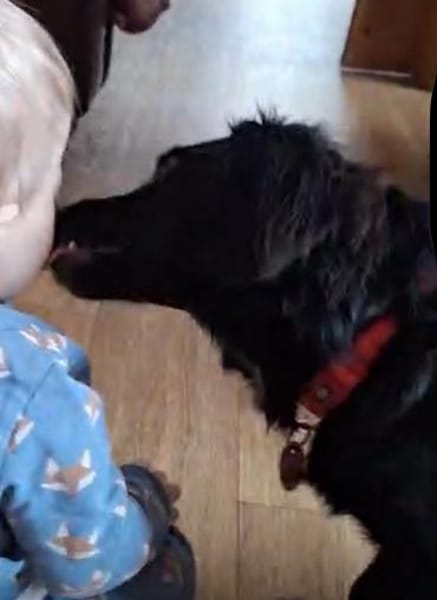 kinderlieber Wirbelwind 🐾💕 Peaches (E)