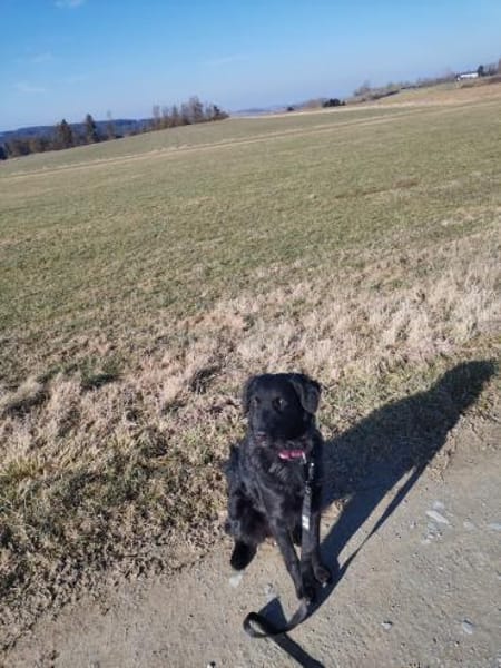 Anni  sucht ihre Familie