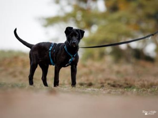 Nike möchte geliebt werden