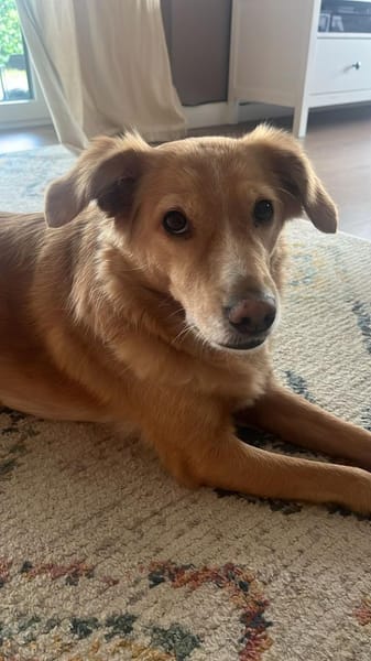 Wo sind die Menschen für Jule? 😍