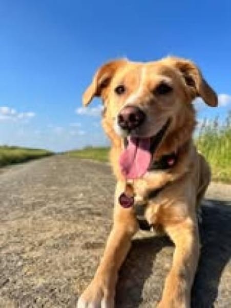 Wo sind die Menschen für Jule? 😍