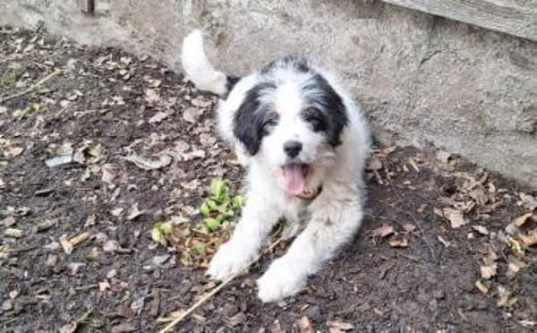 Fenja sucht Ihre Familie