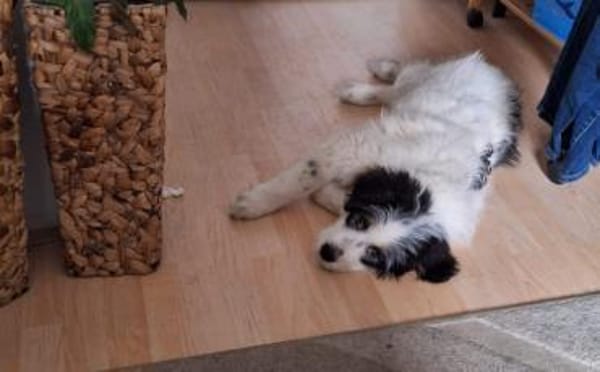 Fenja sucht Ihre Familie