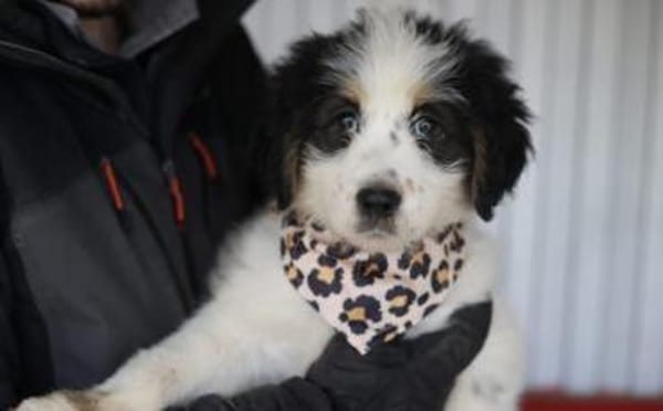 Fenja sucht Ihre Familie