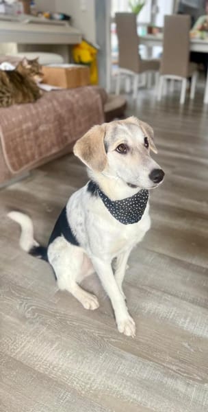 Nya 💜💜💜 wünscht sich ruhiges Zuhause