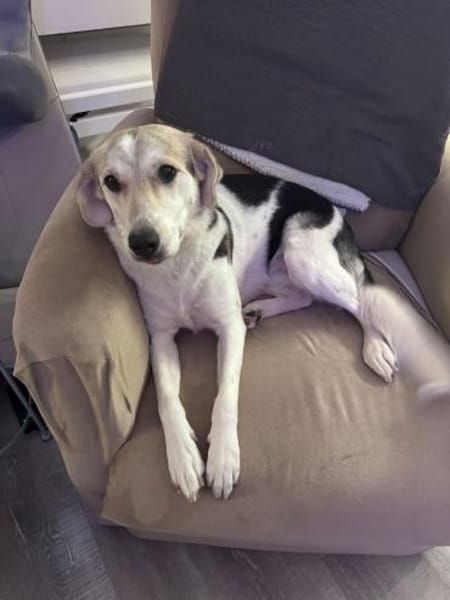 Nya 💜💜💜 wünscht sich ruhiges Zuhause