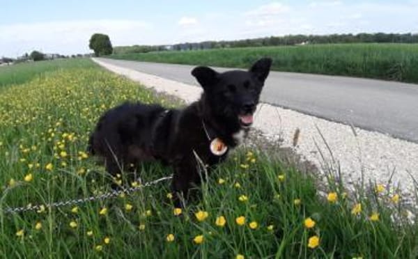 Mit Lady Liberty auf Entdeckungstour