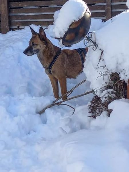 NISHA sucht ihre eigene aktive Familie