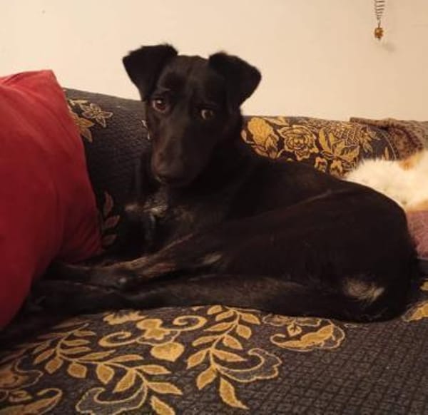 Luana sucht ihre Menschen