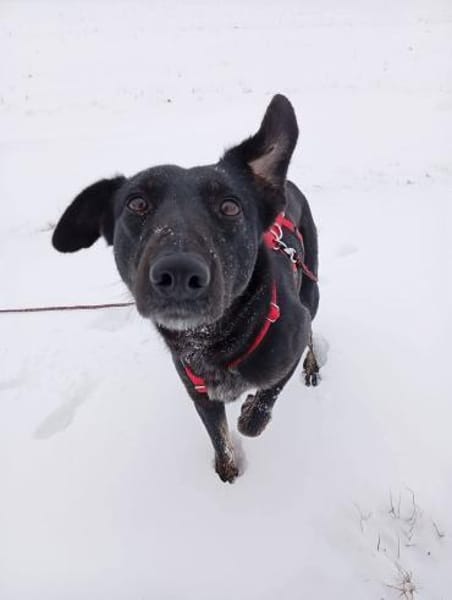 Luana sucht ihre Menschen