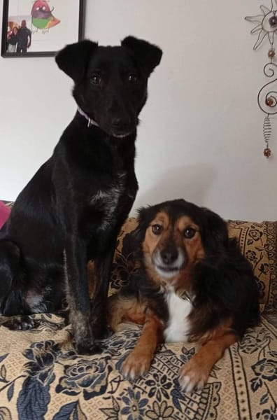 Luana sucht ihre Menschen