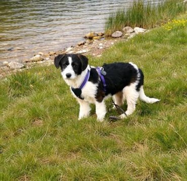 Hetti unser Herzchen