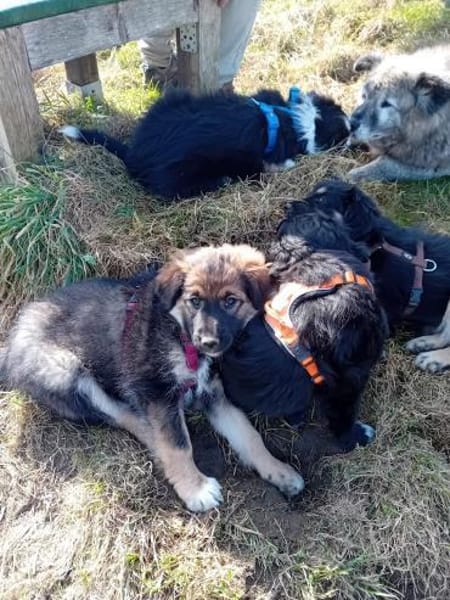 Die süße Hazel sucht Traumzuhause