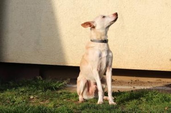 Dylan - 10 Jahre übersehen