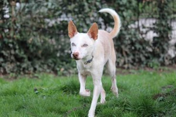 Dylan - 10 Jahre übersehen