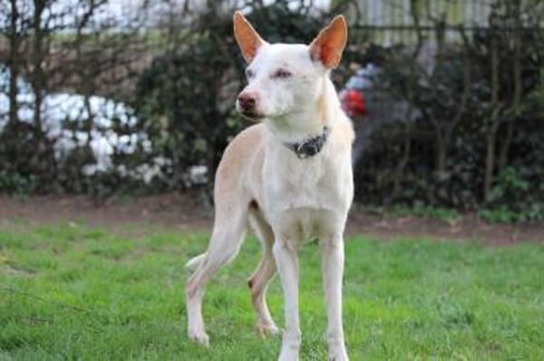 Dylan - 10 Jahre übersehen