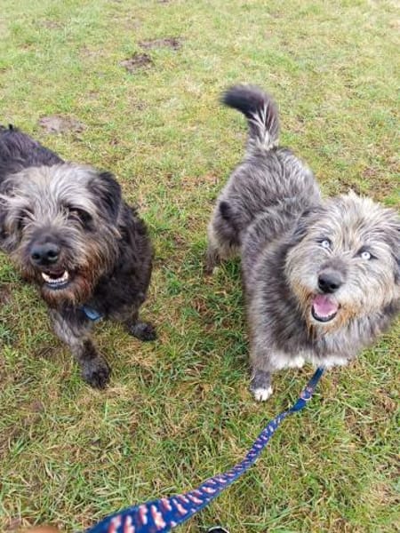 BLUE - Ozeanblaue Augen suchen DICH