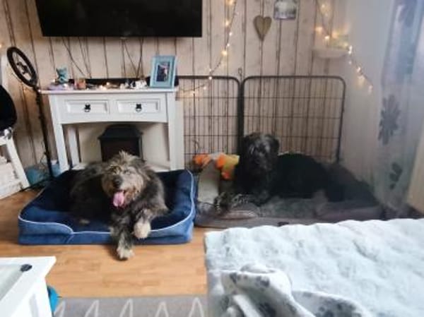 BLUE - Ozeanblaue Augen suchen DICH