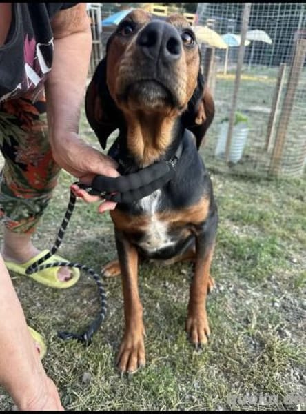 Soziale Soraya 5.23 auf der suche