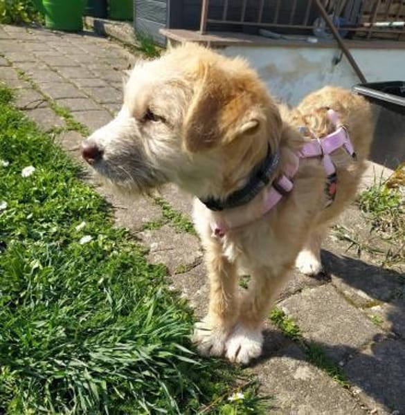 Amelie die süße Zuckerschnute