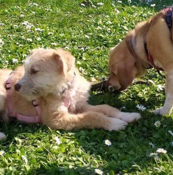 Amelie die süße Zuckerschnute