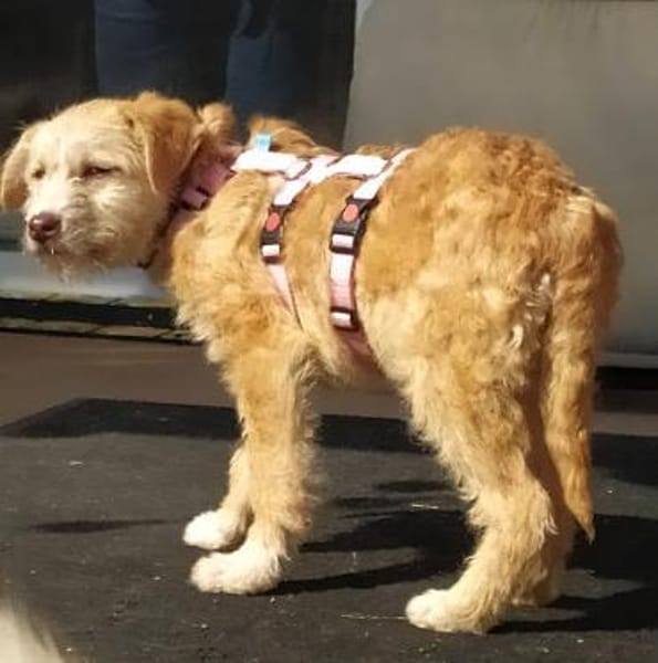 Amelie die süße Zuckerschnute
