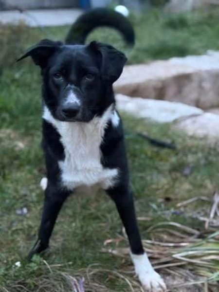 MALABA -freundlich, offen & neugierig-