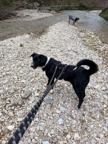 MALABA -freundlich, offen & neugierig-