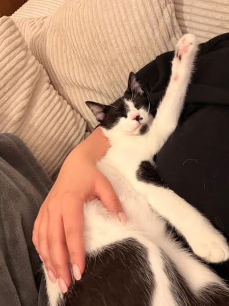 Chupa  aufgeweckte junge Entdeckerin