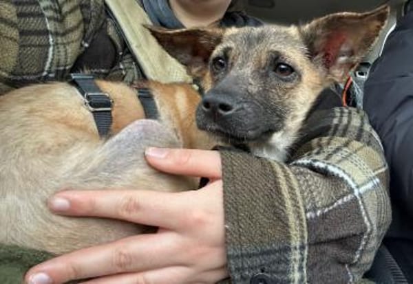 Alice - jung und neugierig - in DE