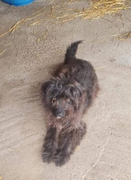 Hübsche,freundliche Cherry sucht Familie