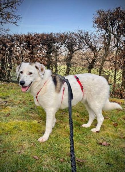 Knuffige Karo sucht ihre Familie❣