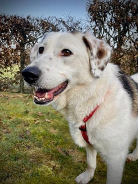 Knuffige Karo sucht ihre Familie❣