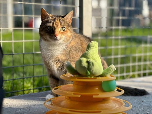 SATANA en SOS URGENT