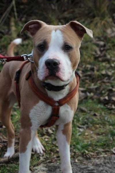 Lucky, aufgeschlossen