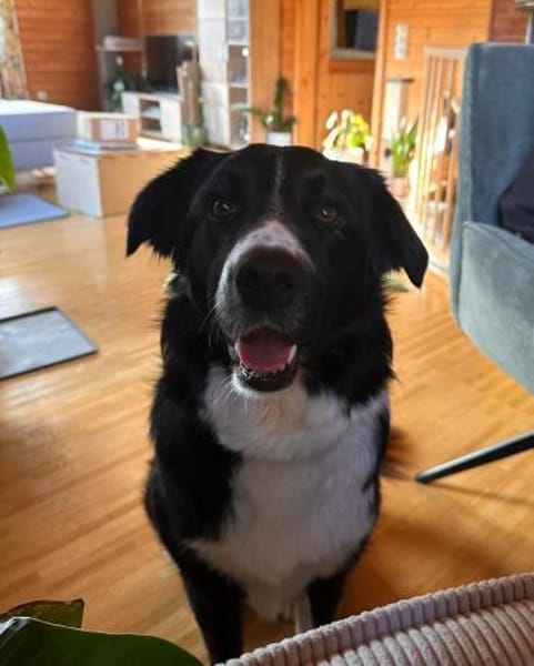 ZARA sucht ihre Herzmenschen ❤