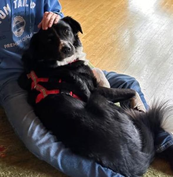 ZARA sucht ihre Herzmenschen ❤