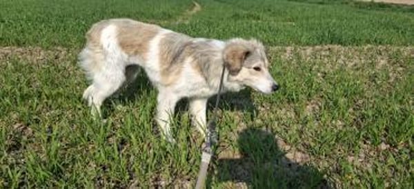 Cindy sucht ihre Familie