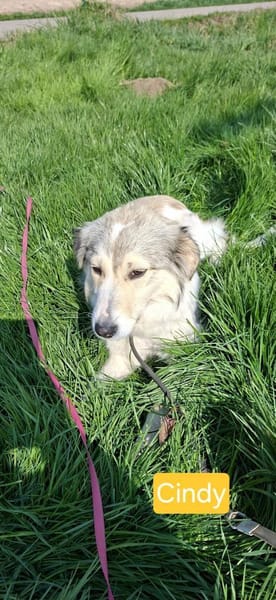 Cindy sucht ihre Familie