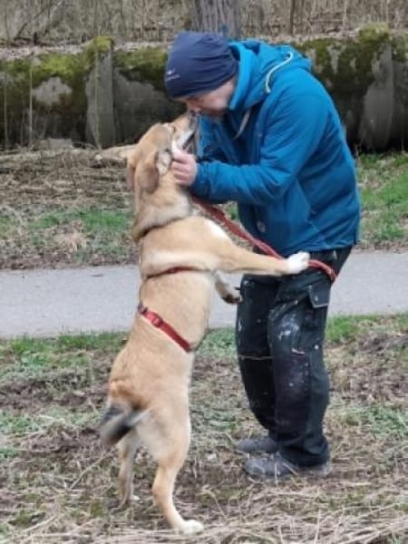 EMMA sucht ein tolles Zuhause