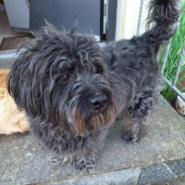 Fritz💕lieber Senior wartet in PLZ90552