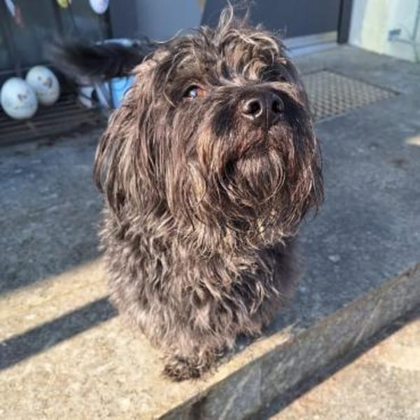 Fritz💕lieber Senior wartet in PLZ90552