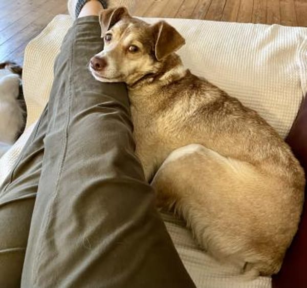 Birdy verschmust, anhänglich,zutraulich