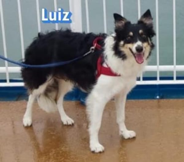 Vermittlungshilfe Luiz; Leipzig