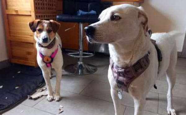 Anda sucht Familienanschluss