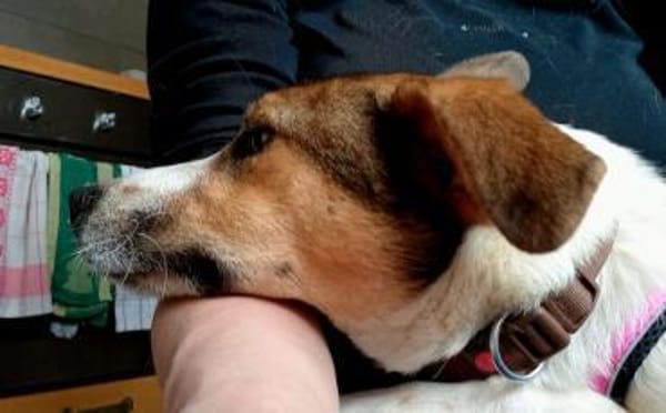 Anda sucht Familienanschluss