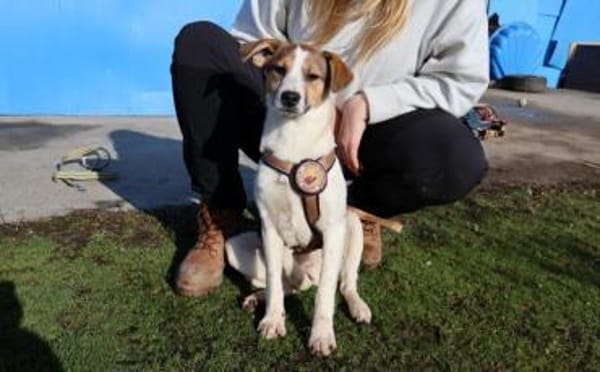 Anda sucht Familienanschluss