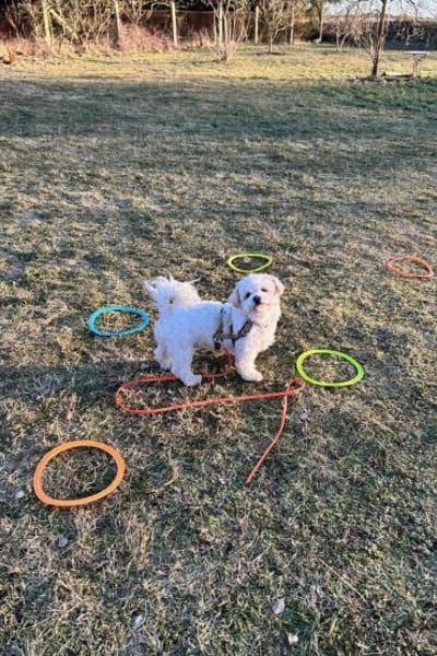 Fonsi - wünscht sich Struktur